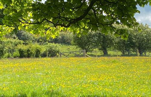 Beehive Cottage - Photo 3