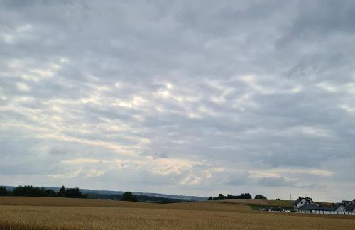 Sowi Dworek - Foto 55