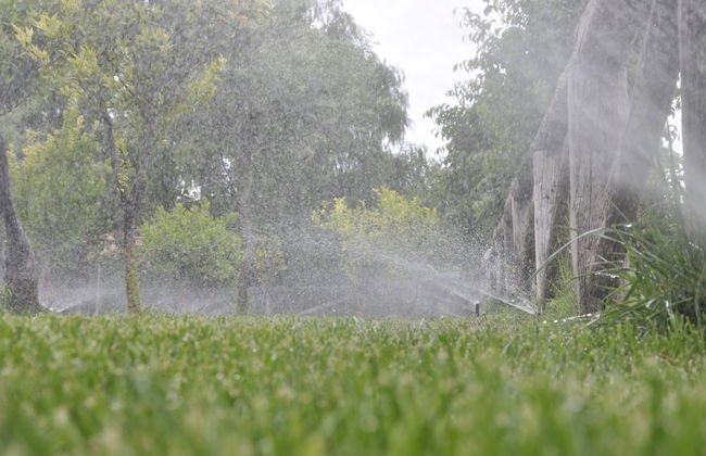 B&B Case Giannone - Photo 30