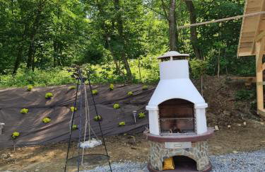 Żabie Dworki Witów Luxury Chalets & SPA - Foto 71