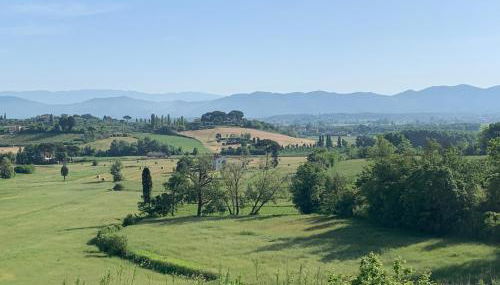 Locazione turistica Casa olivo - Foto 3
