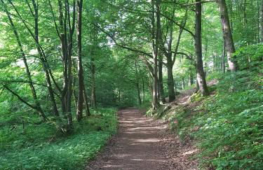 ferienwohnungen.ruhla - Foto 27