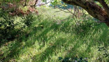 Treetops - Bright 2 Bed Flat - Super Location - Foto 4