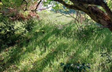 Treetops - Bright 2 Bed Flat - Super Location - Photo 4