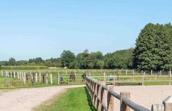Pretty Holiday Home in Eschede Germany near Forest - Foto 38