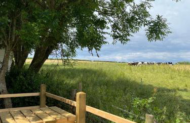 Sunnycott Caravan Park - Foto 43