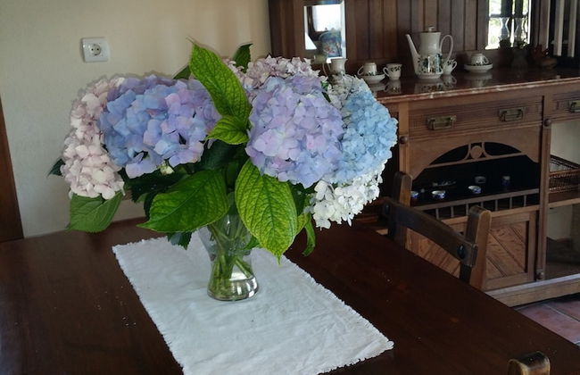 Trisqueles y Buganvillas - Photo 15