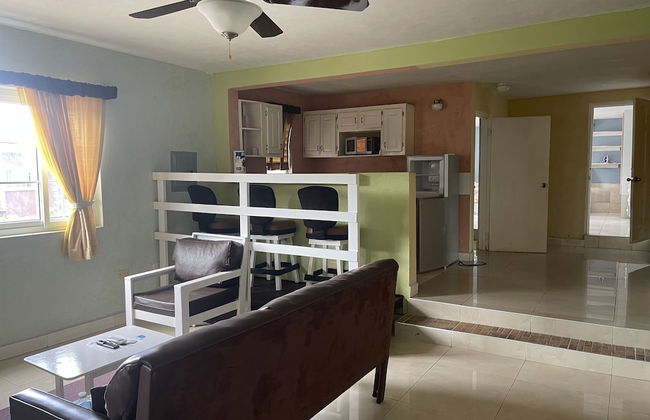 Pirate Palms - Foto 17