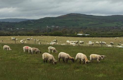 Finn Cottage - Foto 24