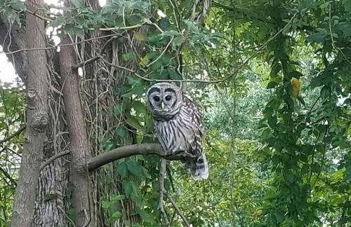 Lakefront Home Where You Can Retreat and Relax - Foto 33