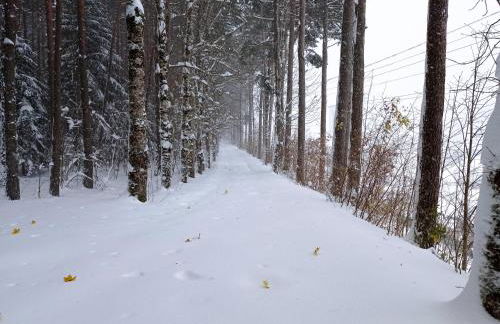 FANTASTICO - 75m - REFORMADO- VISTAS A LA MONTAÑA - Wifi - Acceso Trastero junto a Parking - Foto 28