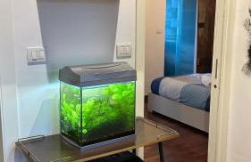 Floorplan B - 208 - Foto 23