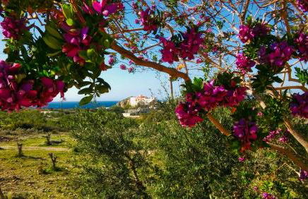 Villa Evenos with private pool - Foto 59