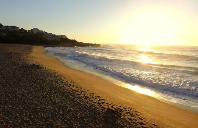 All the Tides - Lo Tide - Foto 41