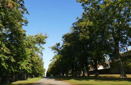 "Compostelle " - Foto 17