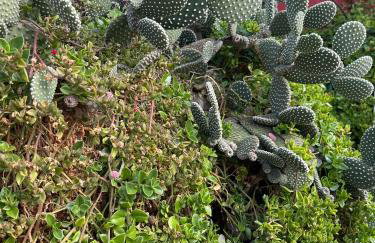 Kuća za odmor PERLA - Foto 48