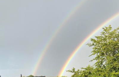 Hollow Brook Cottage A Quiet Peak District Stay Surrounded by Nature Grown-Ups Only - Photo 24