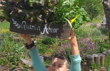 Ninho Bico-de-Lacre ~ o paraíso é a/na Terra - Foto 34