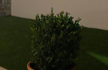 Amarynthos Maisonettes - Photo 33