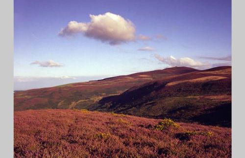 Plas yn Yale with mountain views from all windows - Photo 28