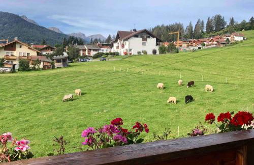 Luxury panoramic apartment Plan de Corones - Photo 42