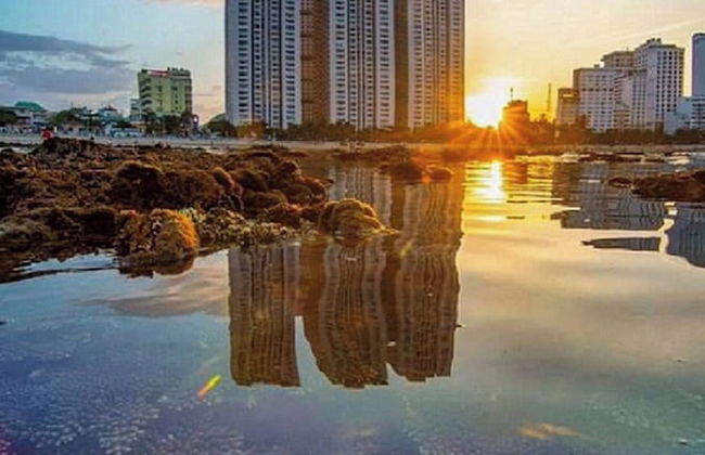 Gem House's - Foto 48