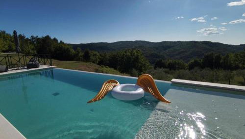 Green Forest - Foto 5, Other