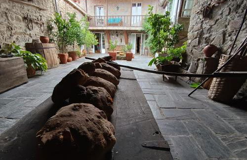 Casa dos Muros turismo rural y actividades en la Ribeira Sacra - Foto 47