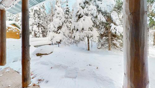 Balsam Ridge Cabin 1- Bear - Foto 4