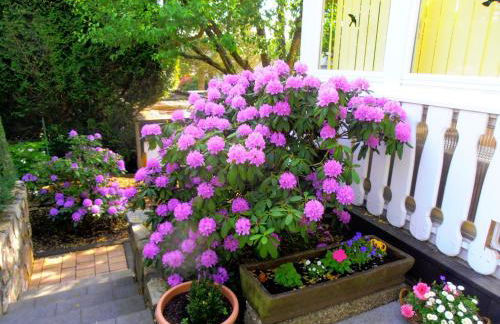 Sonnenblick - Photo 2