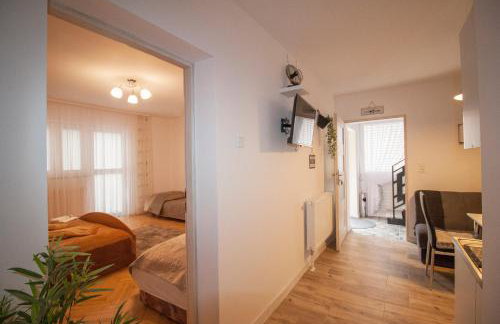 Apartamenty Bieszczady - Foto 52