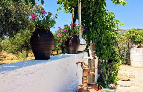 Evaggelias Home Gavalochori - Foto 19