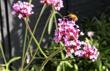 The Bolthole - Photo 14