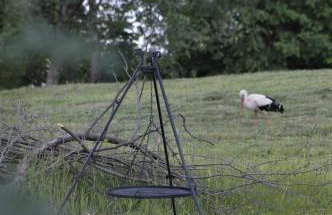 Azyl Apetytu - Foto 23