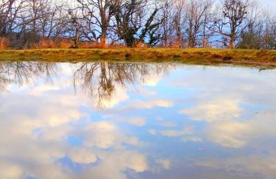 The StoneHouse - Photo 10