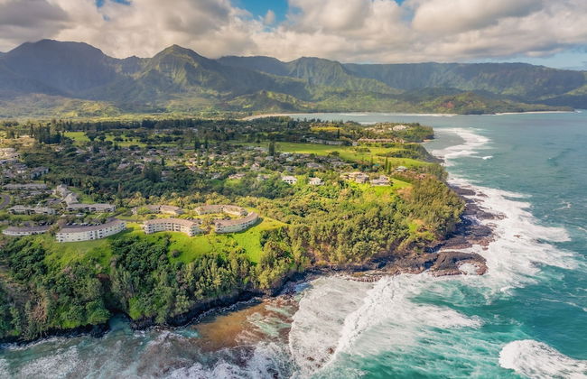 Kapiolani Villa 4 Bedroom Home - Foto 1