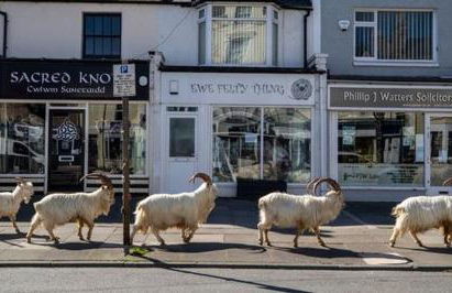 Conwy Pen Cefn Farm Holiday - Photo 29