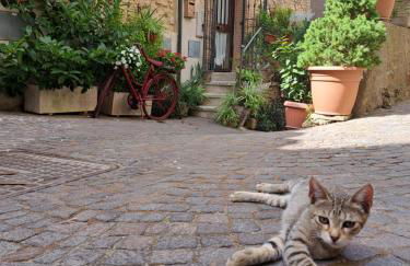 MGResidenceTolfa "Piazza Vecchia" - Foto 4