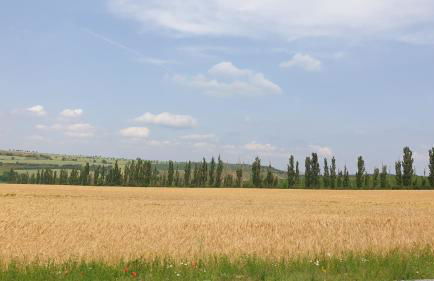Ferienwohnung Sonnenschein Familie Hamdorf - Photo 21