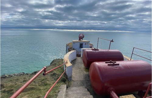 The Wee Sprout - Foto 17