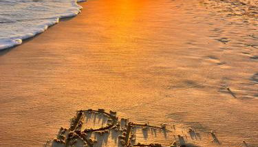 Villa Miha (New house Saint Martin de Ré) - Foto 4