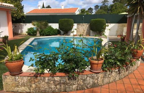 Moradia do Pinhal - Foto 9