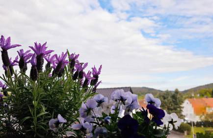 Ferienwohnungen Krüger 'Apartment Moni' - Foto 28