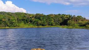 Obelisco casa na fazenda completa - Foto 3