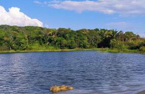 Obelisco casa na fazenda completa - Foto 3