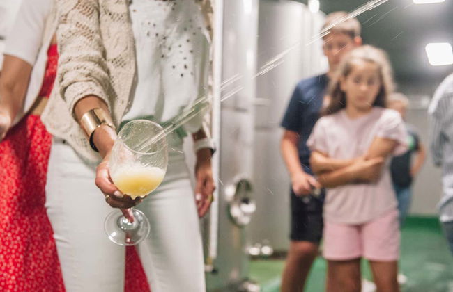 Basque Farmhouse + Cider House Tour - Foto 7