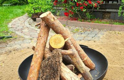 Dom letniskowy przy lesie nad jeziorem - Foto 14