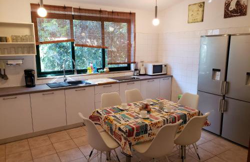 Apartments Tanja - Photo 25