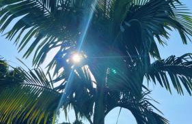 LINDO SOBRADO PERTINHO DA PRAIA - WiFi 600 MEGAS - Foto 61