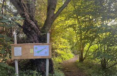 Star Gazing Dome 2 with Log Burner & Optional Hot tub - Foto 26